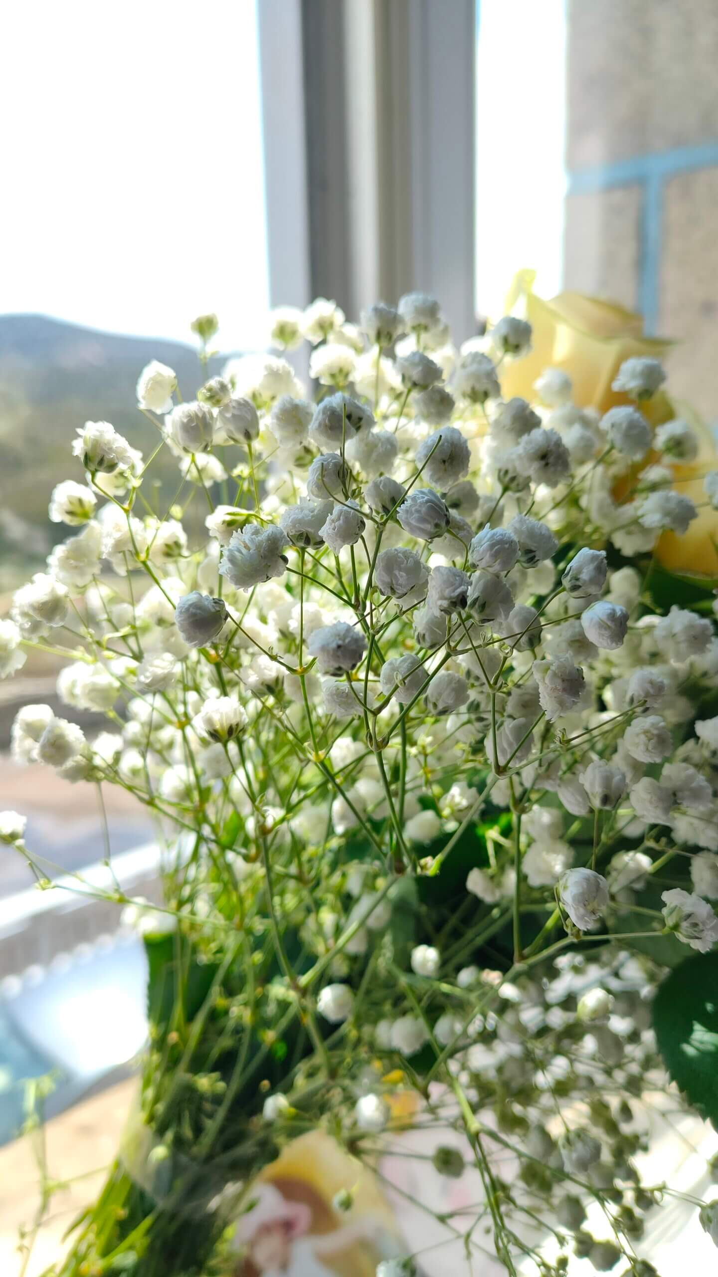 社区标签  电商税-邻而帮（02bang.com）